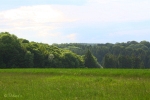 Ulm-Elchingen 2010
