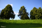 Olympiapark M�nchen 2009