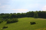 Ulm-Elchingen 2010