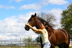 Vanessa & Lady 2010