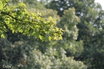 M�nchen 2008