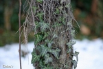 M�nchen 2008