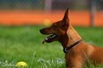 Lara vom Camp Achensee - Olympiapark M�nchen 2010