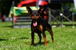 Loony Mali Zmaj - Saarbr�cken 2010