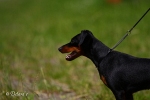 Prada vom S�dstern - Saarbr�cken 2010